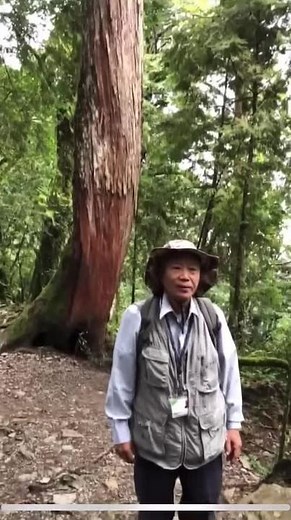 Exploring Nature: Guide to Forest Adventures