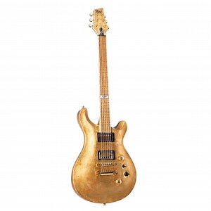 Fame Forum Custom 20th Anniversary Antique Gold  favorable buying a...