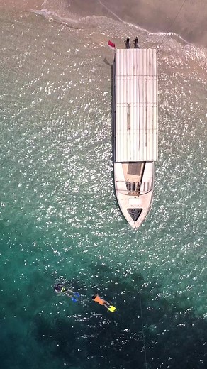 4K views · 39 reactions | While snorkeling might feel like an easy thing without taking the full plunge into scuba diving. There are still things you should know before putting on your gear and hitting the water. The top 3 tips to make the most out of your snorkeling adventure are here: https://www.tdisdi.com/sdi-diver-news/snorkeling-on-vacation/ #SDIdivers #wearescubadiving #snorkeling #drone #tipsandtricks | SDI - Scuba Diving International | Facebook