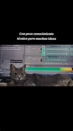 Sampling Paul McCartney The Beatles #beatmaking #sampling #hiphop #rap #thebeatles #paulmccartney