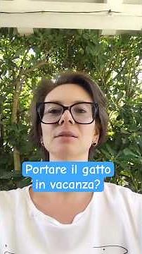 Portare il gatto in vacanza?