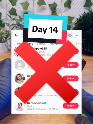 Exciting Fun with Switch 2 Preparations