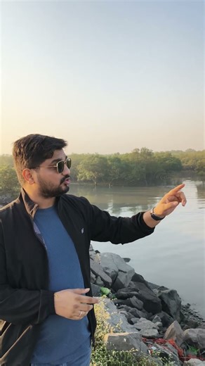 What are Mangrooves ? Natural security System of Sea ⛵ Salt water Trees 🌴