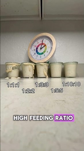 Sourdough starter feeding ratios for dummies!