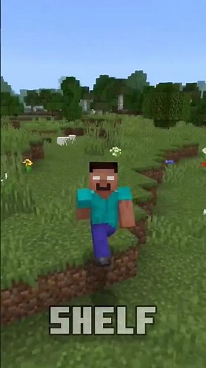 Minecraft New Shelf Block | Minecraft New Update | Minecraft