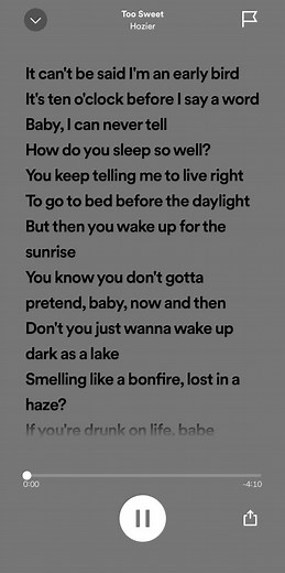 Hozier - Too Sweet Lyrics