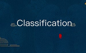 #英语写作指导系列# Classification