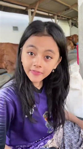Mari dek mari dek #sapigemuk #sapilucu