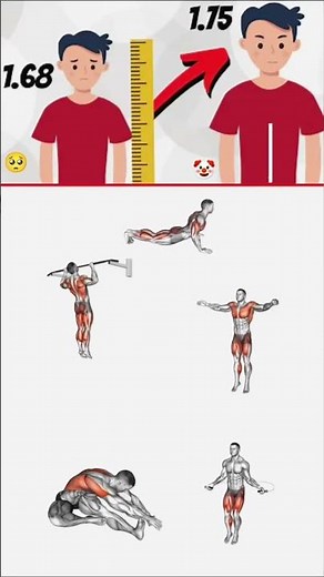 Stretching Exercises to Increase Height | Animated Routine for Better Posture & Growth