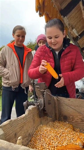 Ancient Hand Tool That Removes Corn Kernels in Seconds 🌽