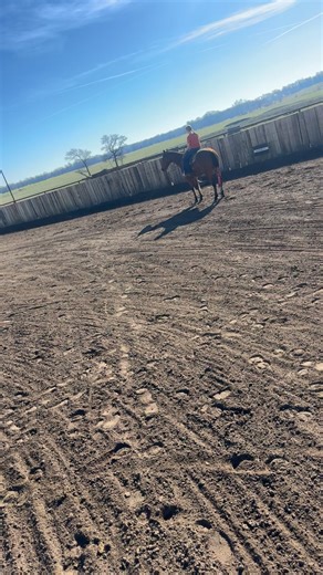 Ranch pony #onthisday #missouritiktok #proudmom #handykids