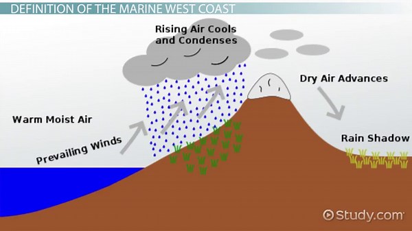Marine West Coast | Location, Characteristics & Climate