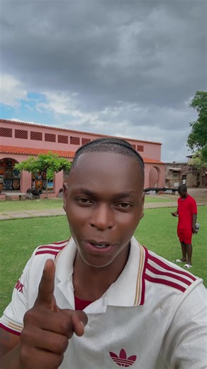 THEE MOSA (@thee_mosa)’s videos with original sound - THEE MOSA