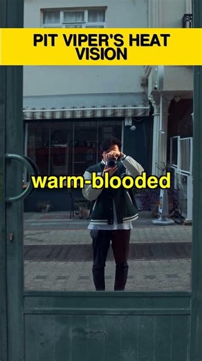 See in the DARK: Pit Viper's SECRET Sense! #Shorts