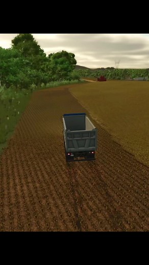 Farming Simulator 25#farmingsimulator25 #ферма #поле #жнива #fs25