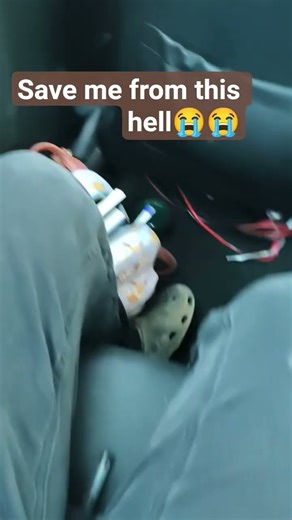 Help meee ( Edit they played all kpdh songs this entire ride almost)