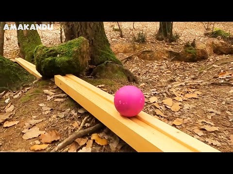 Magic Marble Run Trick ASMR Enchanted Magic Forest Volumen1