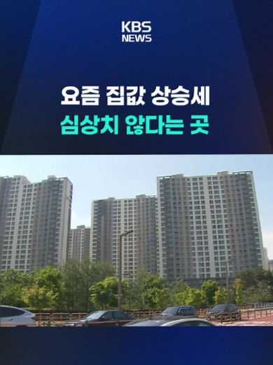 최근 경기 남부 지역 아파트값 상승세가 심상찮습니다. #동탄 #경기남부 #아파트값 #상승 #삼전닉스 #KBS #KBSNEWS