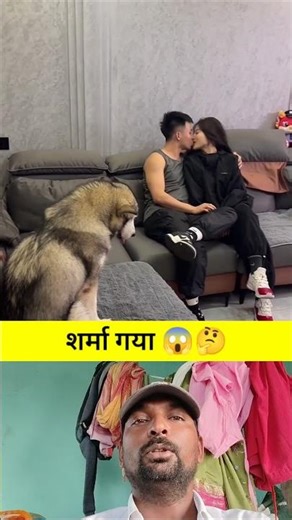 शर्मा गया Top Learning Toolsfor Tech🔥 Enthusiasts#shorts #shortsfeed #viralshorts🔥🙏