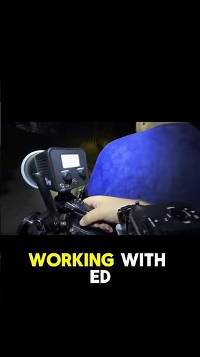 We Find a Gray Tree Frog