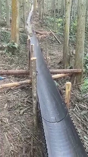 Efficient Timber Movement Through Wooden Chute Systems