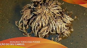 285K views · 961 reactions | Tá sabendo da novidade? Chegou o Neutrox Xtreme! A Linha possui o poder ativo da Trehalose, substância presente na flor da ressurreição. Além de hidratar e reconstruir, a linha conta com uma nova fragrância de arrasar. Demais, não é? Experimente e conta pra gente o que achou! Saiba mais em nosso site. | Neutrox | Facebook