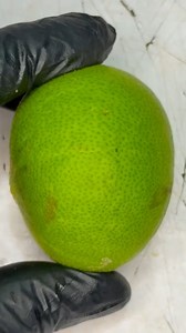 6.4K views | #diy #lifehacks #trick #tips #fyp #reels #reelsviral #viral #reelsvideo #reelsfb #fyp #trending #tips #TikTok #reelsfyp #tipshogar #ideas #homedecor #handmade #recetas #hacks #tipsandtricks #ideas #food #فكرة #حيله #ريلز #ترند #ترتيب #تنظيم | علي تيوب - Aly Tube | Facebook