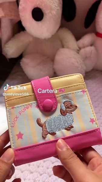 #tiktokshop #monedero #girls #cartera