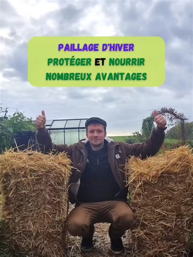 Le paillage d’hiver Les différents avantages qu’il procure durant l’hiver. Chaque année, peu avant la période des gelées je paille abondamment mon potager. Cette année il était plus que temps, mon paillage était particulièrement décomposé… J’utilise autant que possible des ressources de récupération ou à proximité mais je suis bien obligé d’aller chercher quelques ballots chez mon maraicher bio de proximité. Alors pour les différents avantages que ça procure, on retiendra : Protège le sol du fro
