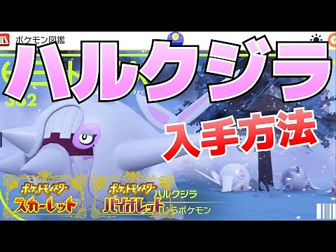 How to Obtain Hulkwhale (pre-evolved Arrowwhale) [Pokémon SV (Scarlet Violet) Guide]
