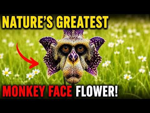 You Won´t Believe How These 10 Flowers Look Like Animals, People… Even Alien Creatures