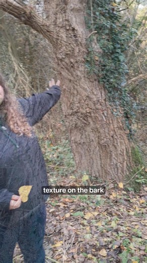 Our youth led conservation group Keeping it Wild are discussing the surveys they have recently completed for The Woodland Trust after finding rare species of trees on site!  If you are aged 16-25 and are interested in joining our group, please contact greengeneration@bcvs.org.uk for more information  Derbyshire Wildlife Trust | Bolsover Community and Voluntary Service | Facebook