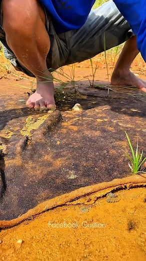 15K views · 106 reactions | wow!!! amazing, dry gold rust in the rusty river, contains hundreds to millions of gold dust and gold grains attached  amazing #gold #goldmine #goldhunter #goldprospecting #goldprospector #goldnugget #goldadventur #golddrush | Gustian Gus Tian | Facebook