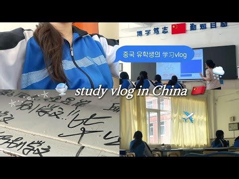 study vlog in China 🇨🇳 | 중국 고등학생의 공부 브이로그 📚✏️ ( 실은 그냥 공부를 곁들인… )