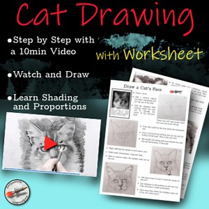 Draw a Cat Face - Step by Step and Video