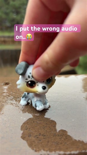 “How can anyone hate the rain?✨” {failed..😔} #fypシ #viral #fypシ゚viral #lps #rain #lpschannel