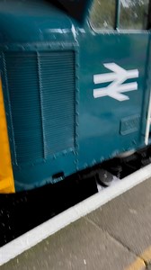 Class 44 number 44004 ‘Great Gable’ at Butterley station in Derbyshire. #uktrainspotting #trains #diesellocomotive #britishrailways #railway #railways #trainspotting #railroad #HeritageRailway #class44 | Adrian Watson