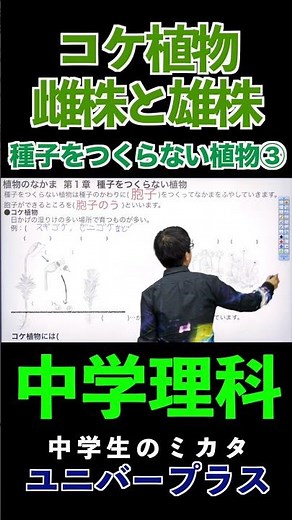 種子をつくらない植物③雄株と雌株 #雄株#コケ植物 #雌株 #種子をつくらない植物 #定期テスト対策 |#中学理科 #植物 #定期テスト対策 #高校受験 #勉強