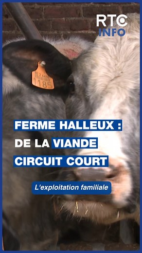 À Neupré, Julien Halleux a ouvert une boucherie à la ferme en 2020. Fort du succès de son premier comptoir, il a récemment étendu son magasin 🔪🥩. #RTC #info #boucher #agriculteur | Qu4tre - Liège Média
