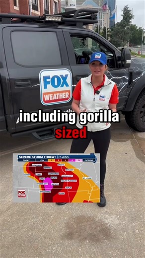 RIDE ALONG 🌪️: FOX Weather Meteorologist Haley Meier will be tracking storms LIVE from inside the FOX Weather Beast today and tomorrow. You’re not going to want to miss it, so tune into FOX Weather’s extended live programming to track the storms starting at 4pm Sunday. | FOX Weather