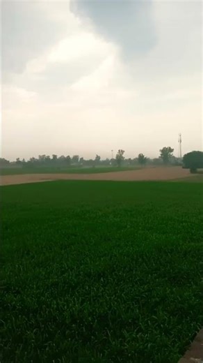 #bollywood # morning #punjab#