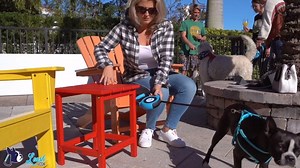 542 reactions · 70 shares | Better than standard retractable leashes?...