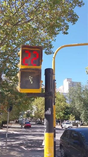 Semáforo Peatonal Transito con LEDs DURALED animado y dinámico, instalado por SUTEC en 2011.