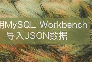 使用MySQL Workbench导入JSON数据