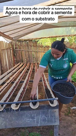 Cobertura de Sementes: Dicas para Sua Horta