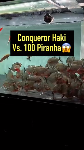 303K views · 612 reactions | Touch me or else! | Albert's Guppy Adventure | Facebook