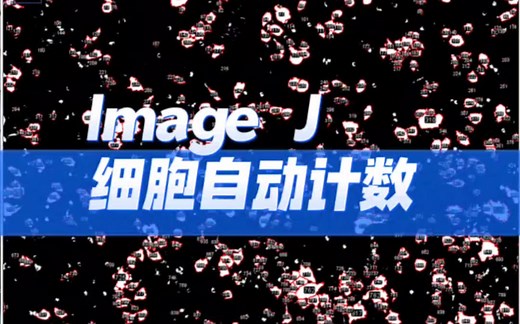 手把手教你 ImageJ细胞计数
