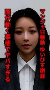 The allegations of corruption against Mizoguchi are serious.