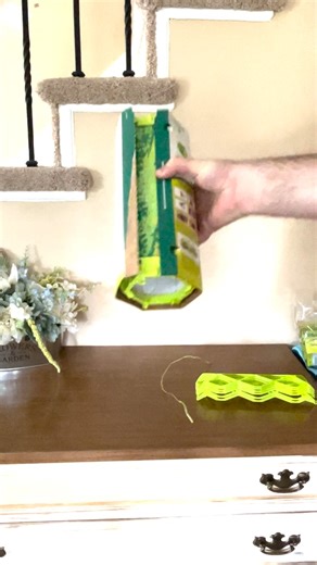 Watch Wasp and Carpenter Bee Traps on Amazon Live