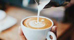 Powdered Vs Liquid Creamer: A Comprehensive Comparison